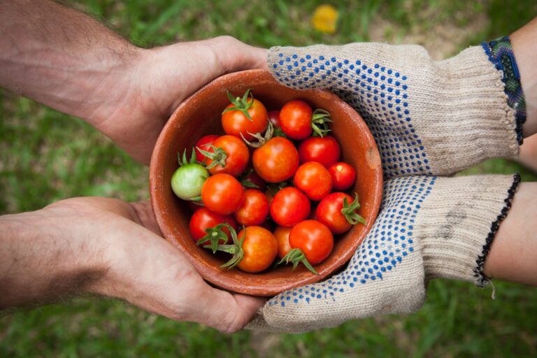 Por que a Agricultura Familiar é Essencial para o Brasil?