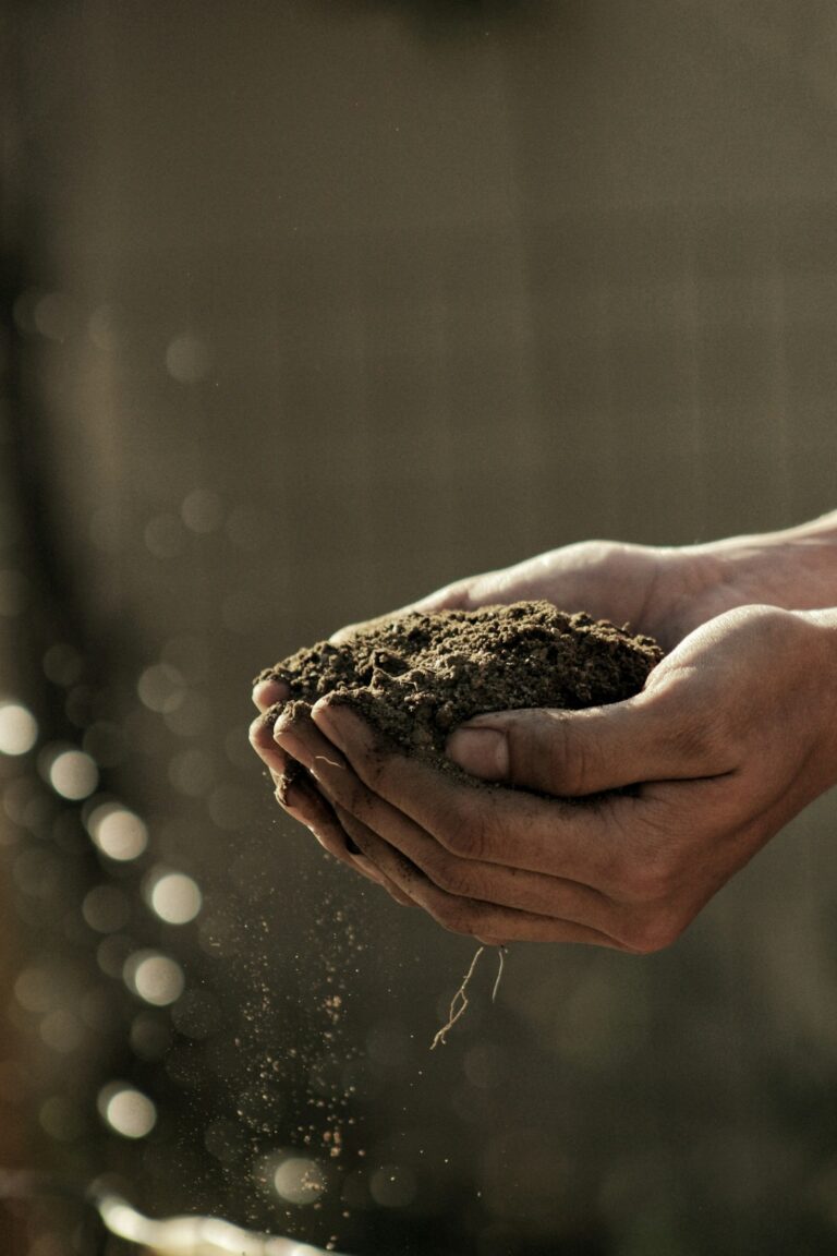Os Benefícios da Agroecologia para Comunidades Rurais
